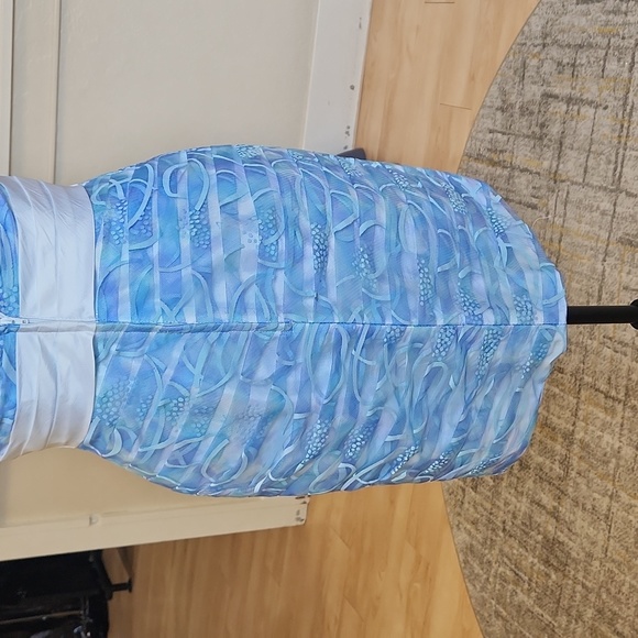 Size 4, Homecoming/pageant/prom cocktail avail w or w/o removable waist train! - Picture 8 of 10